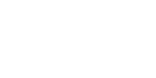 Pedro Vieira
